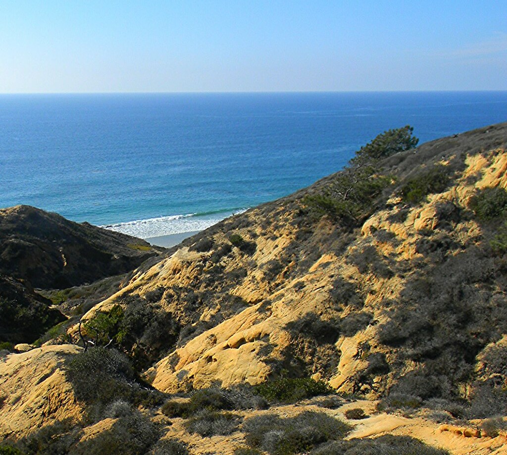 La Jolla/Carlsbad Torrey Pines Preserve Jim Flickr
