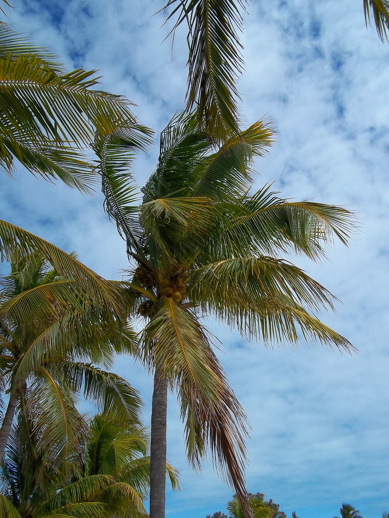 Higgs Beach Key West Higgs Beach in Key West 2012