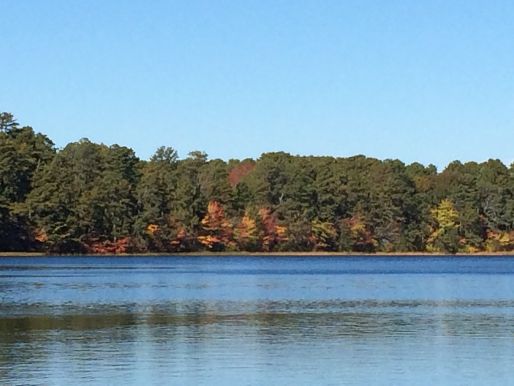 Gull Pond, Wellfleet. Autumn Afternoon Barry Navin Flickr