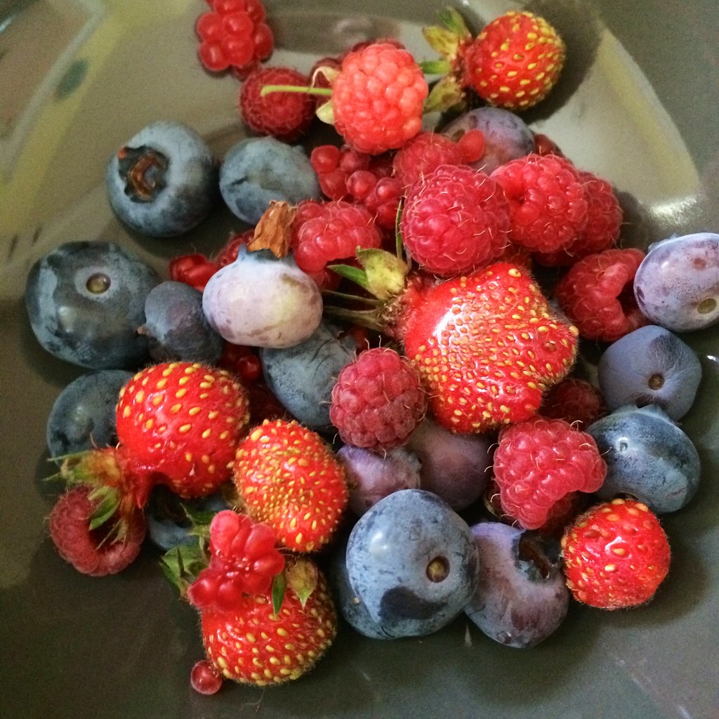 Fresh fruit Raspberries, blueberries and strawberries harv… Flickr