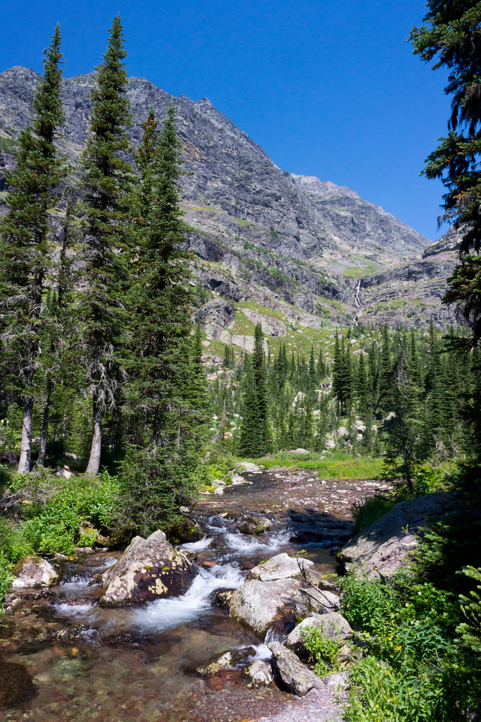 Glacier Basin Gunsight Pass Trail Glacier National Park, M… Troy