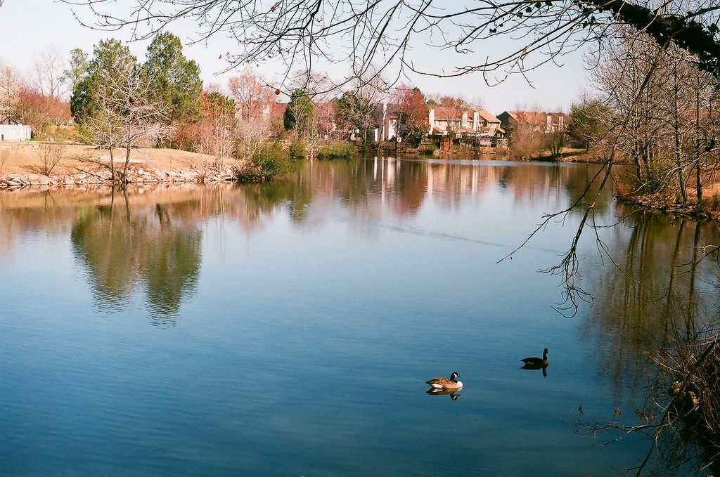 Timberlake, Va Beach Fed3, Industar 61, Fuji 200 box Bryan Nichols