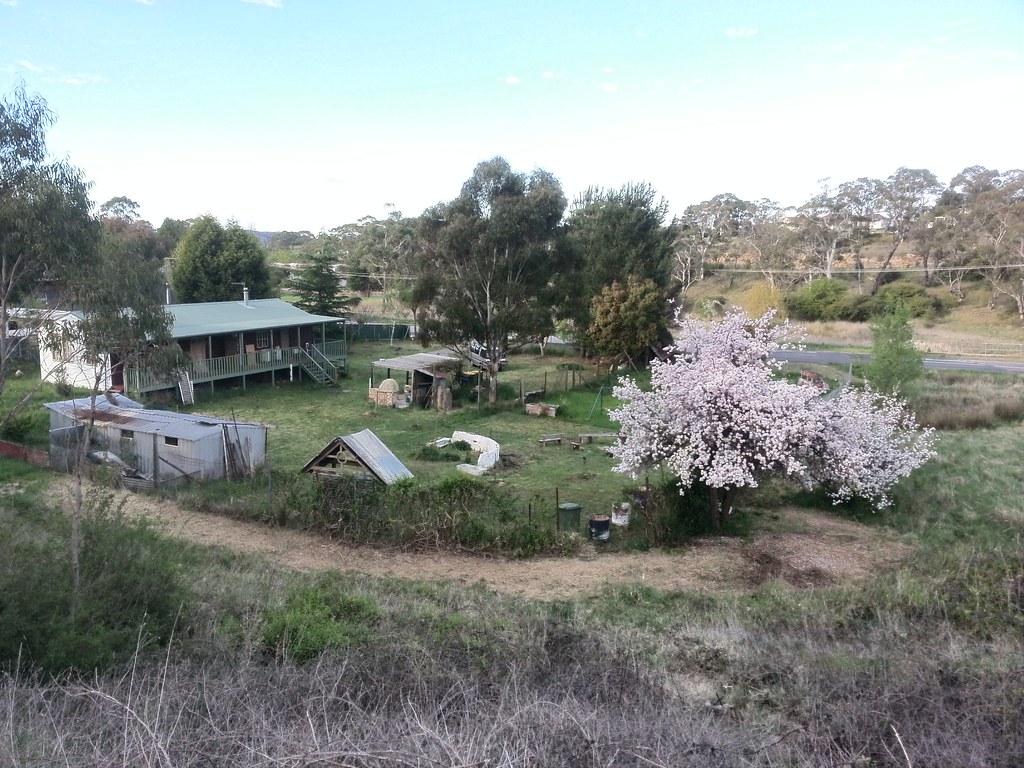 Elevation of The Pinnacle Firetrail, Dark Corner NSW, Australia