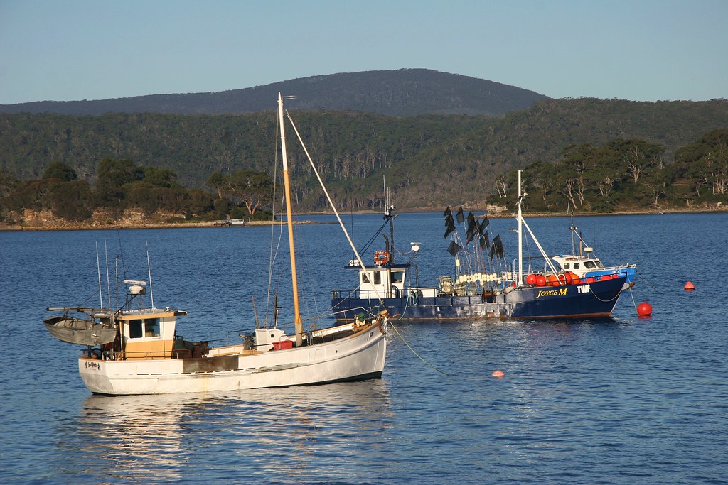 Port Arthur fishing boats Fishing boats moored at Port Art… Flickr