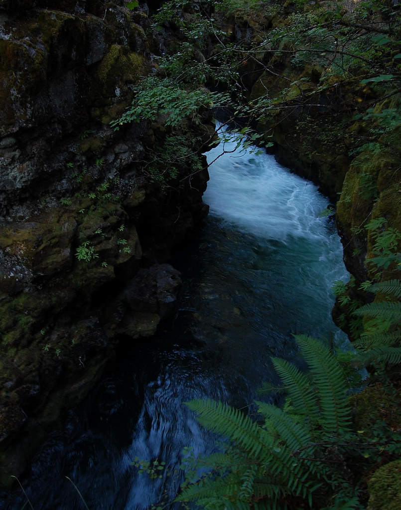 Rogue River Rogue River Near Prospect, Jackson Coun… Flickr