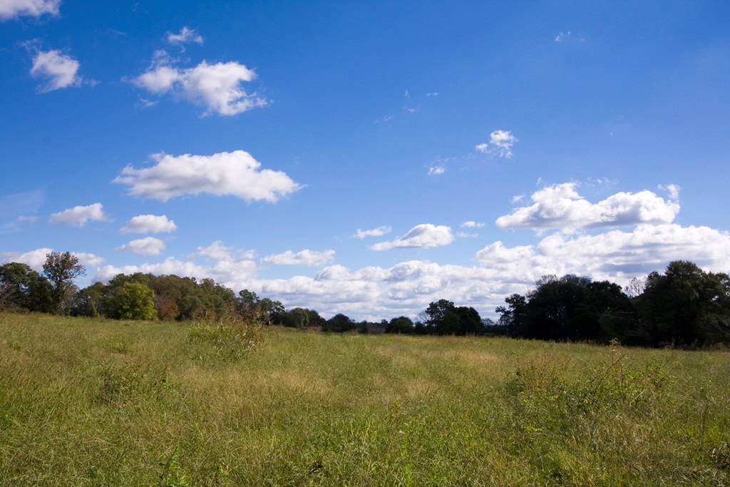Boaz, Al Farm For Sale Small Farm Opportunity near Snead… Flickr