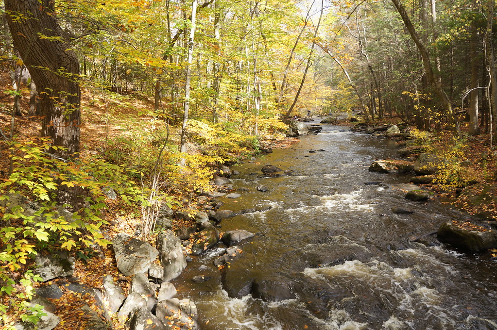Black River, Hacklebarney State Park, NJ Jeff Flickr