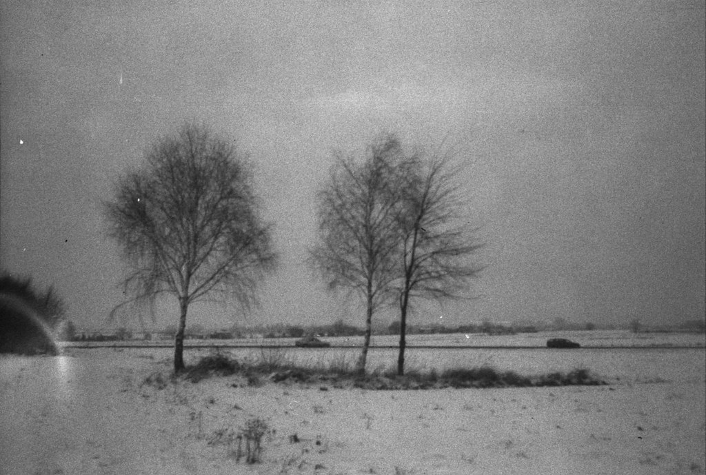THE BIRCHES Shot using old expired in year 1991 Fotopan HL… Flickr
