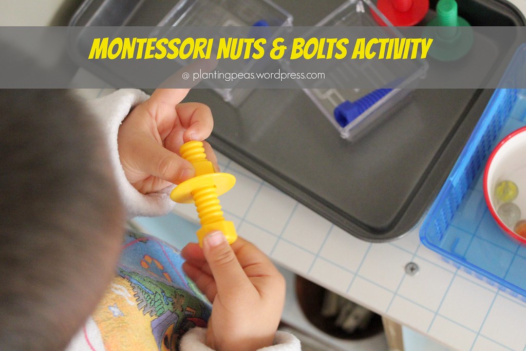 Montessori Nuts and Bolts Activity at plantingpeas.wordpre… Flickr