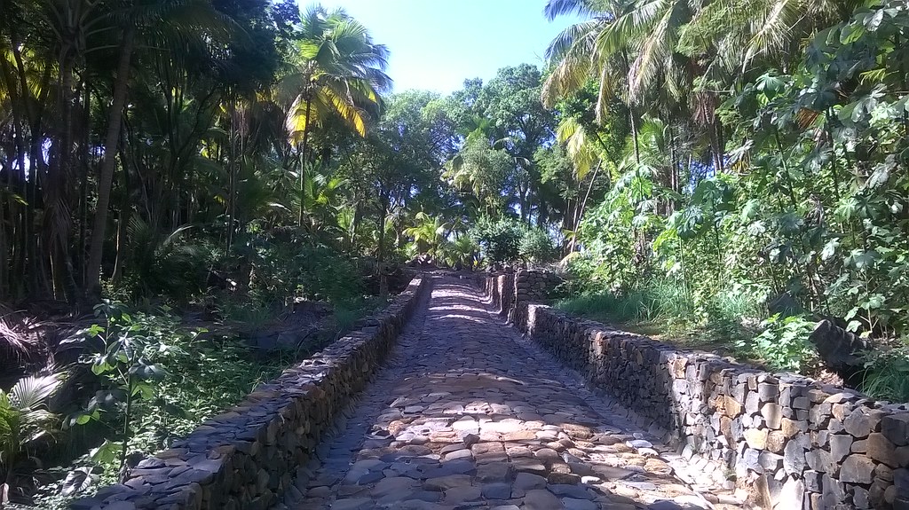 Ile SaintJoseph 12 Chemin menant au bagne. JM Toz Flickr