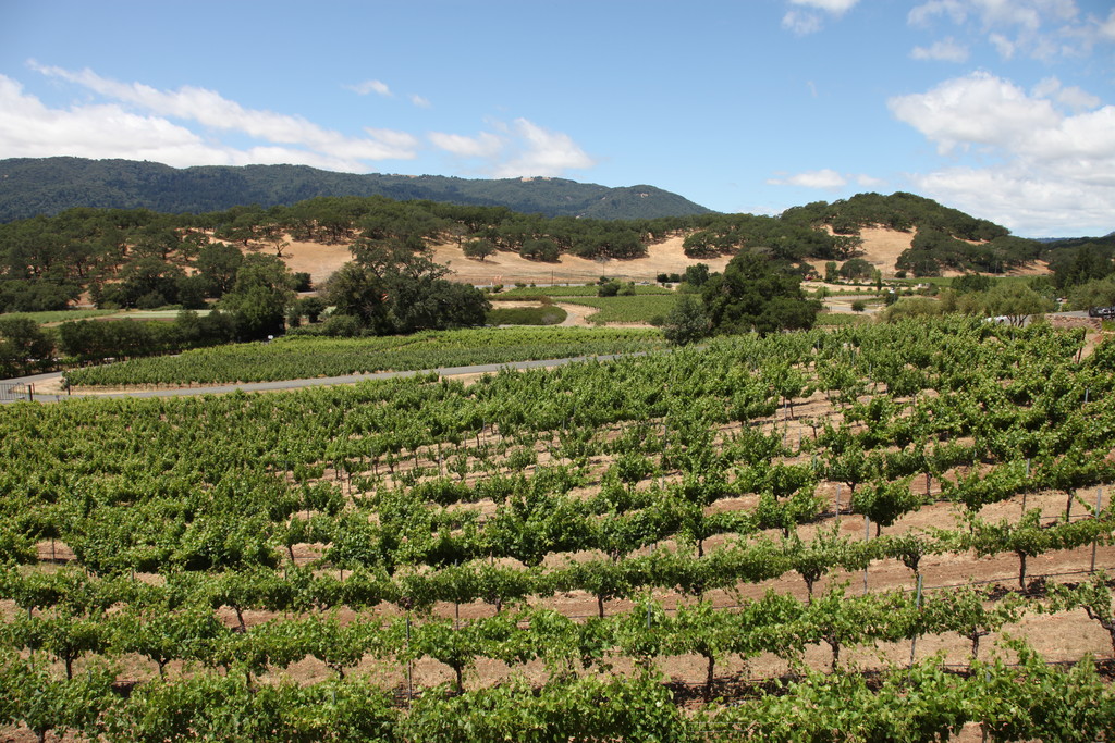 Arrowood Vineyards and the hills of Sonoma Napa and Sonoma… Flickr