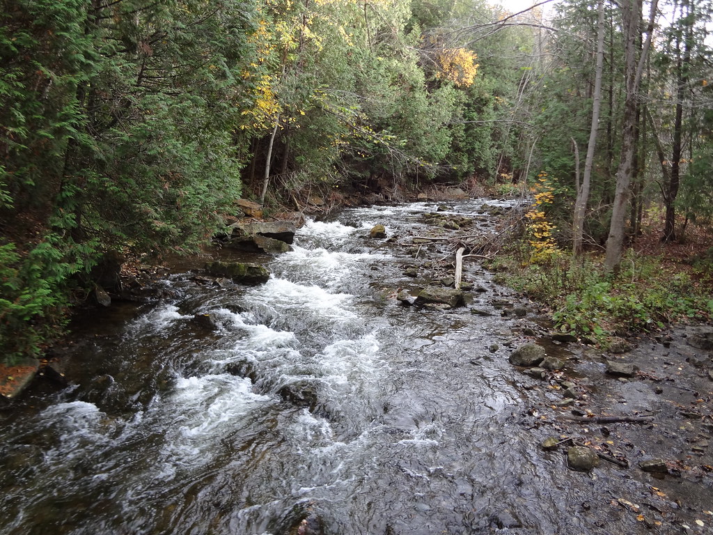 Belfountain Conservation Area, Ontario SabViz Flickr