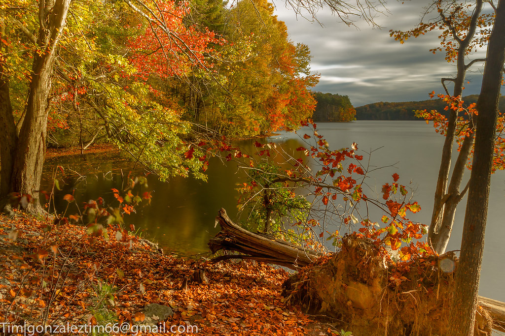 Liberty Reservoir Blazing Fall Foliage Tim Gonzalez Flickr