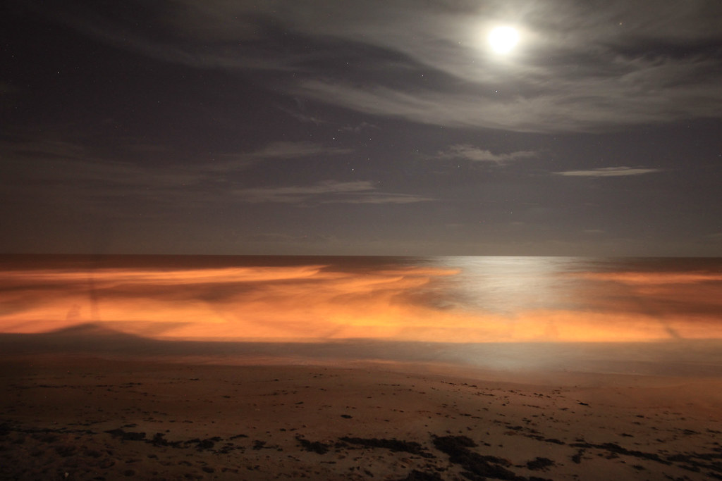 Las Vegas Events Dec 8 2024 Flagler Beach Flagler Beach at night ktkochan Flickr