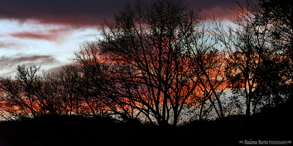 Wells Fargo Dr, Knoxville, TN, USA Sunrise Sunset Times