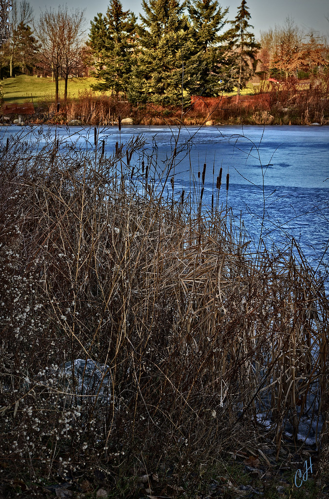 Milliken Park Milliken Park in Scarborough Ontario Canada.… Cliff
