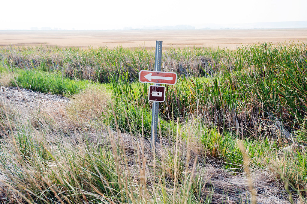 Modoc Wildlife Refuge Mark Murrmann Flickr