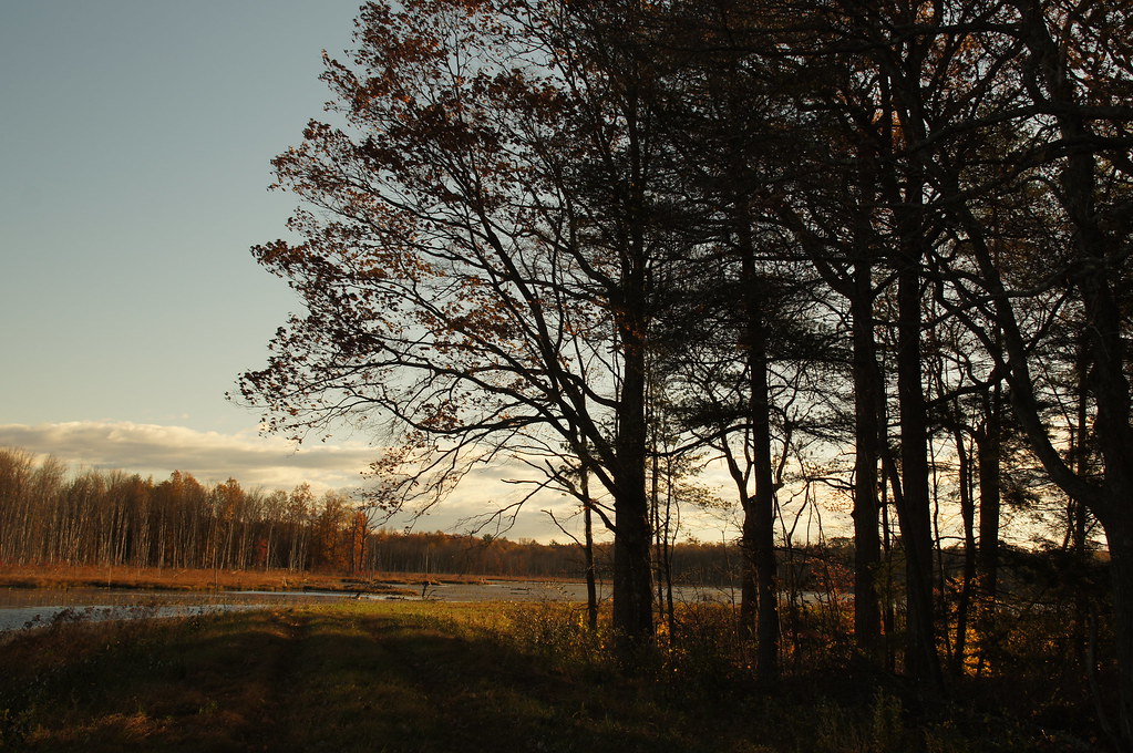 State Game Lands Elimsport, Pennsylvania Carrie Bosch Flickr