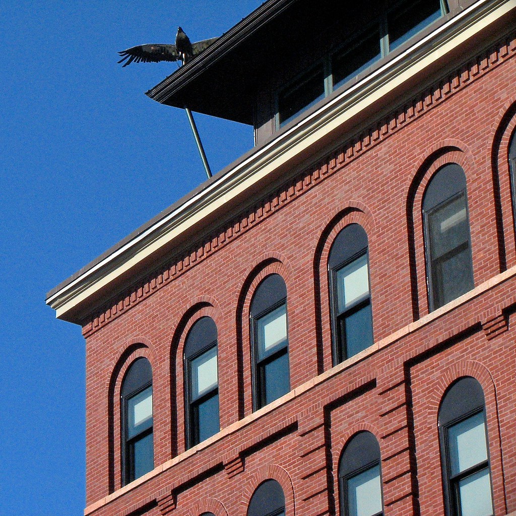 rooftop • eagle 545 Congress St, Portland, Maine USA • Roo… Flickr