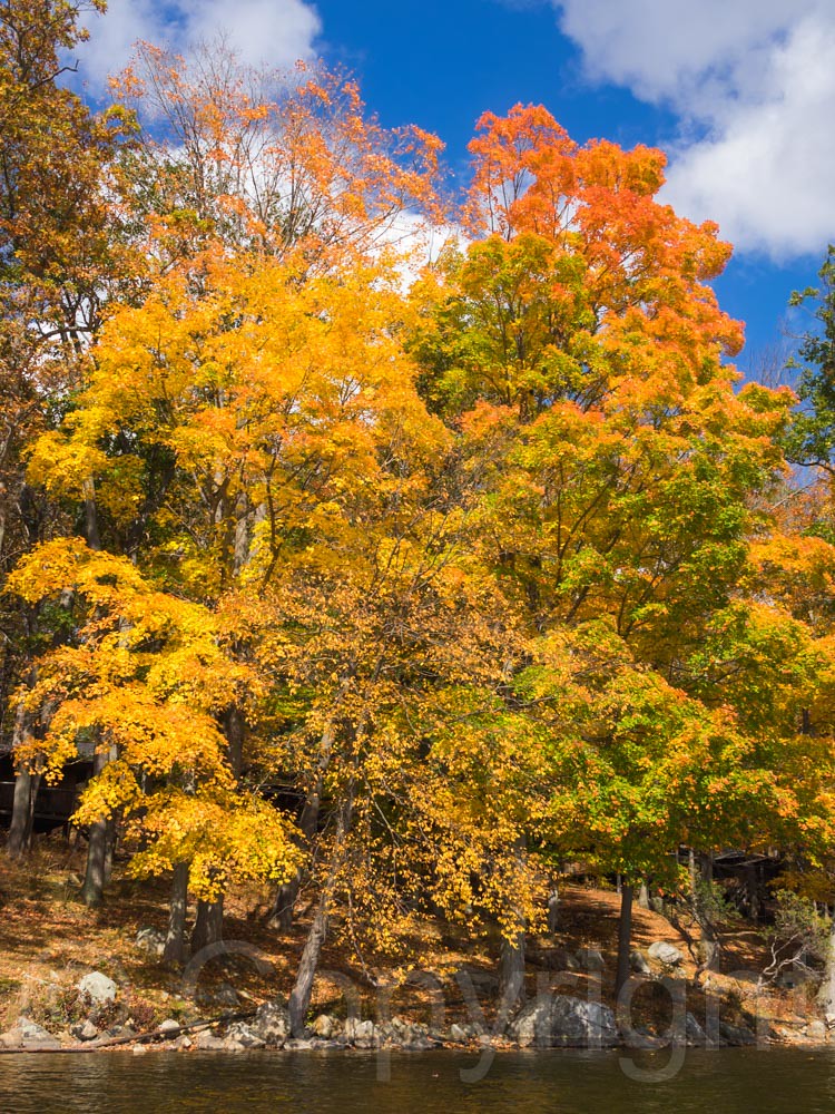 Foliage at Lake Sebago, Harriman State Park, New York Flickr