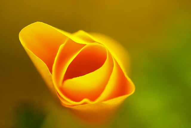 Znude!’s favorites | Flickr