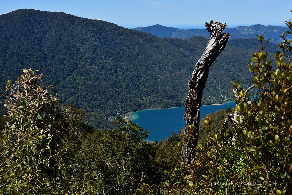 Endeavour Inlet, Queen Charlotte Sound Blog Post here The… Flickr