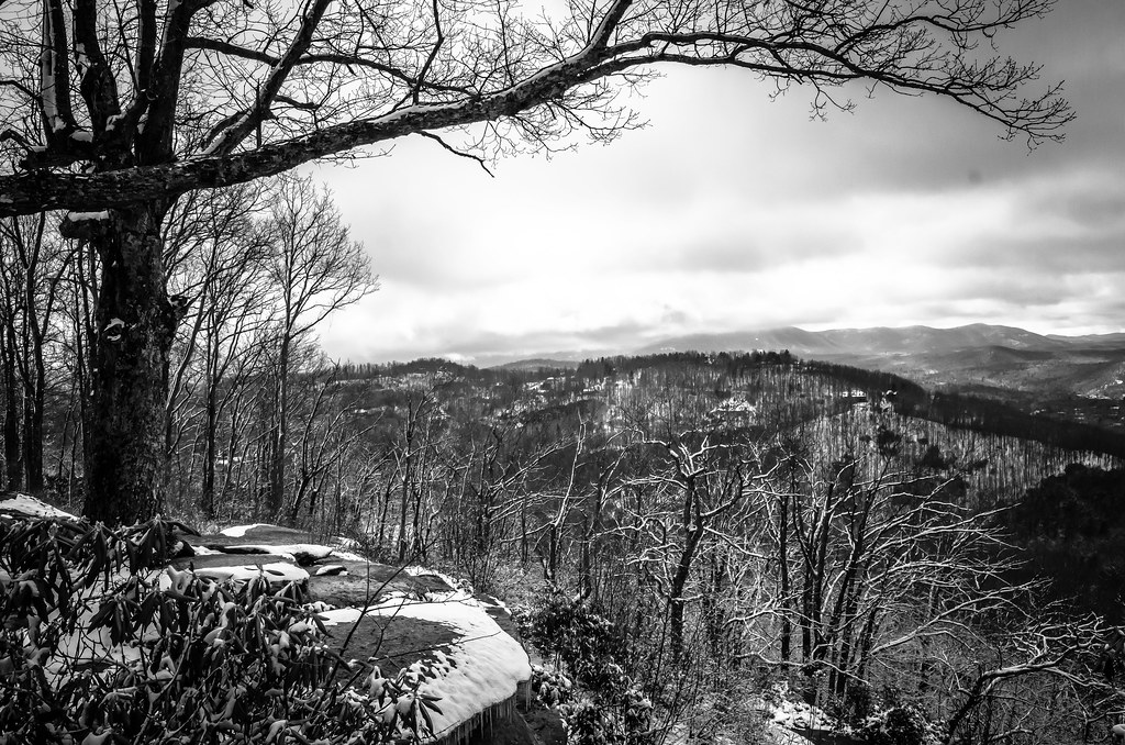 Elevation of Laurel Park Hwy, Laurel Park, NC, USA Topographic Map