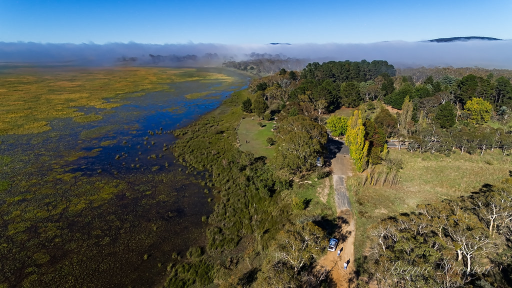 Elevation of Currawang Road, Tirrannaville NSW, Australia Topographic