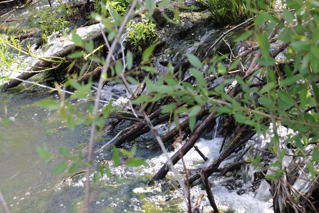 What's a Natural Resources Specialist? A BLM Natural Resou… Flickr