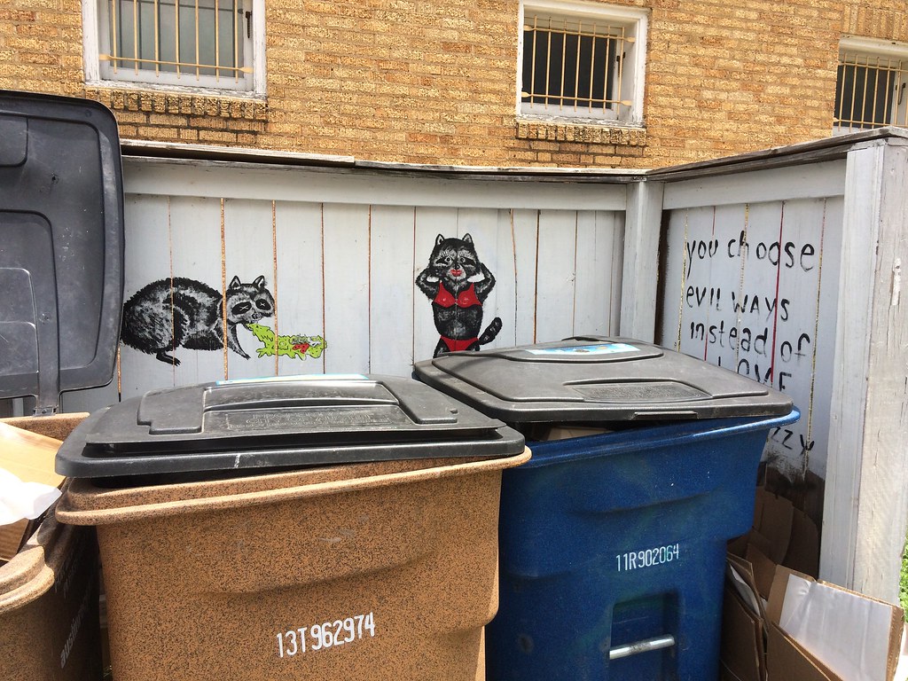 Coon cans effelarr Flickr