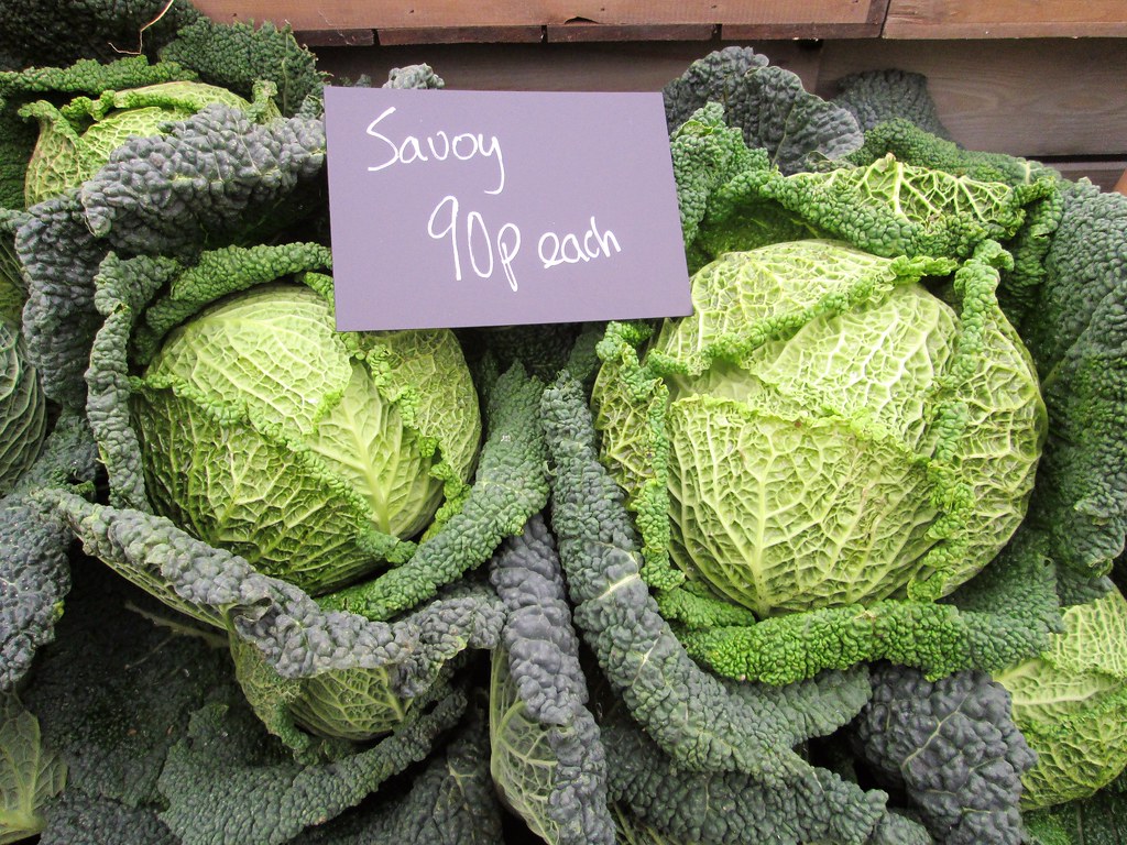 Savoy Cabbages Fermoys Green and crinkly Tim Jenkinson Flickr