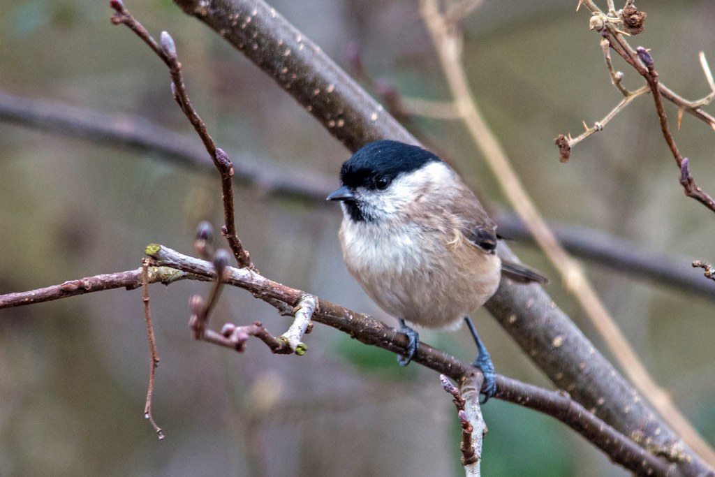 Lakes 010 Richard Farrow Flickr