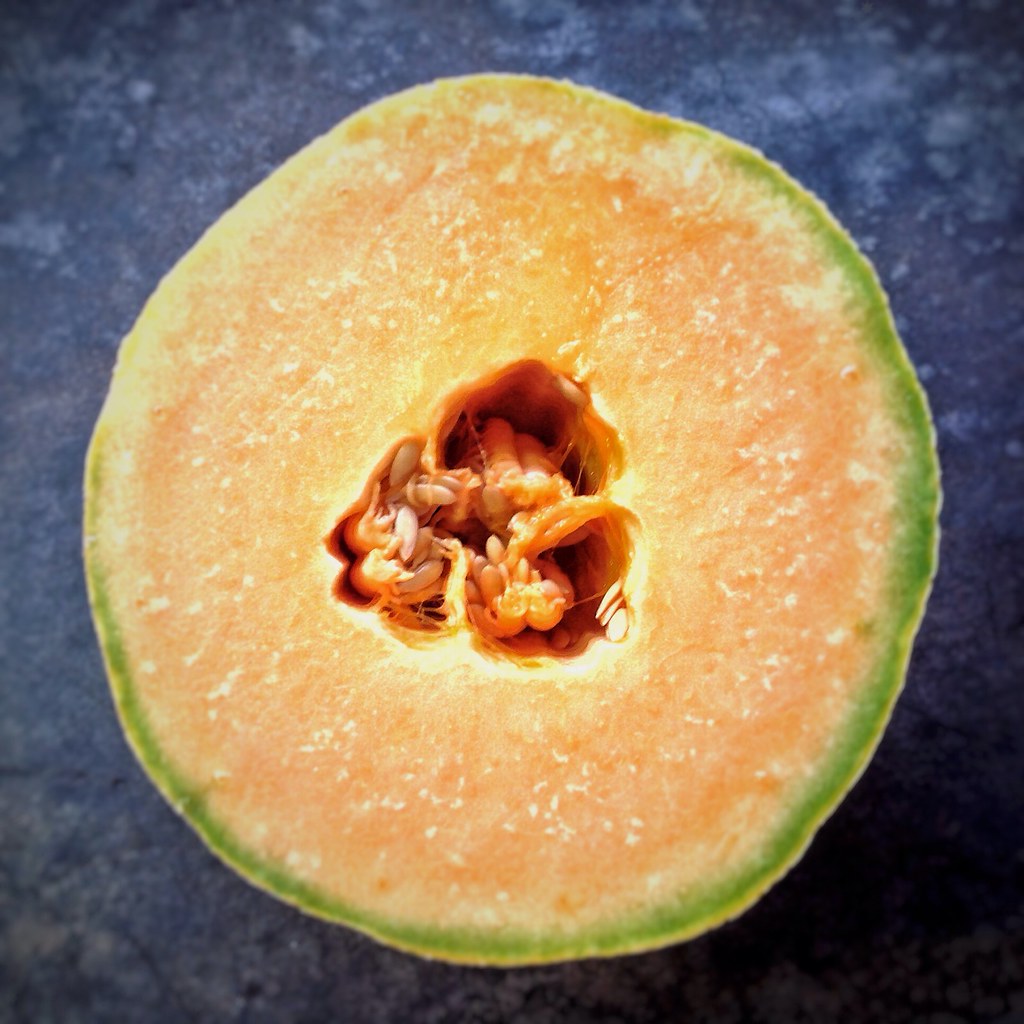 Cantaloupe Sun Betsie Nel Flickr