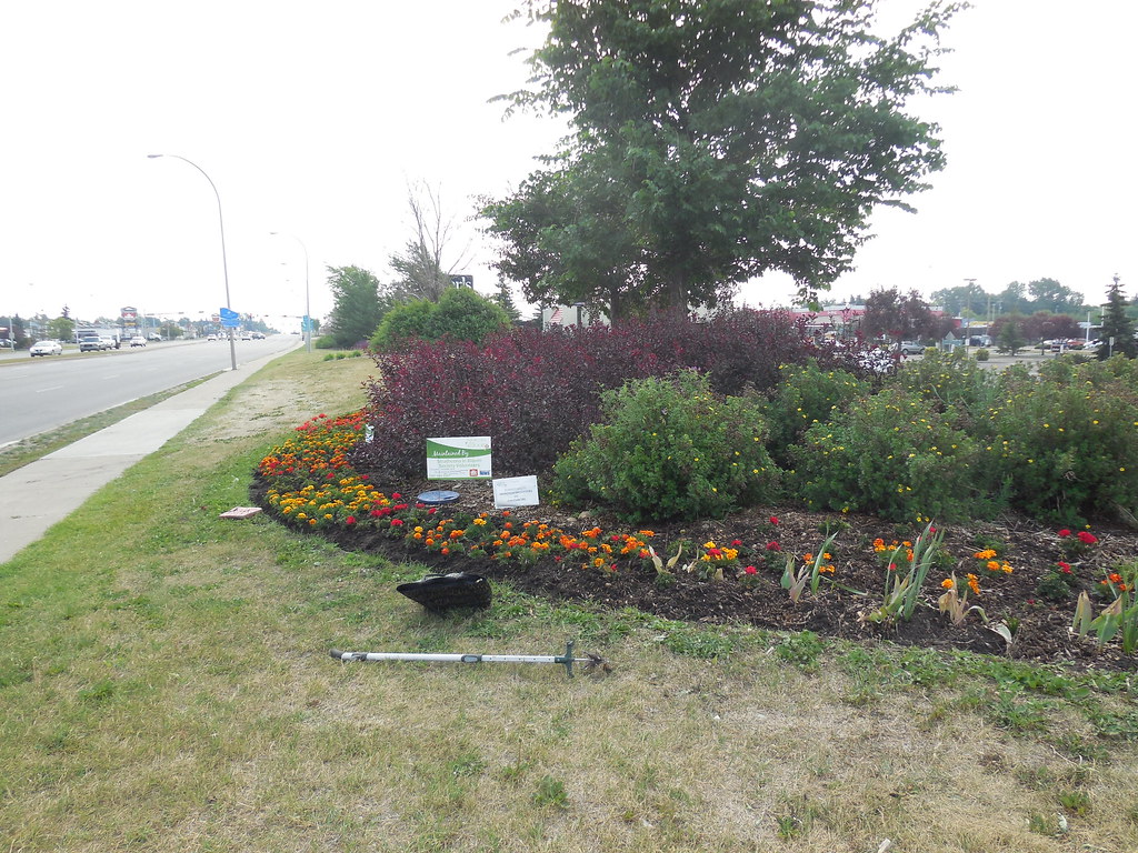 Canadian Tire Bed Wednesday weeding1 Strathcona in Bloom Flickr