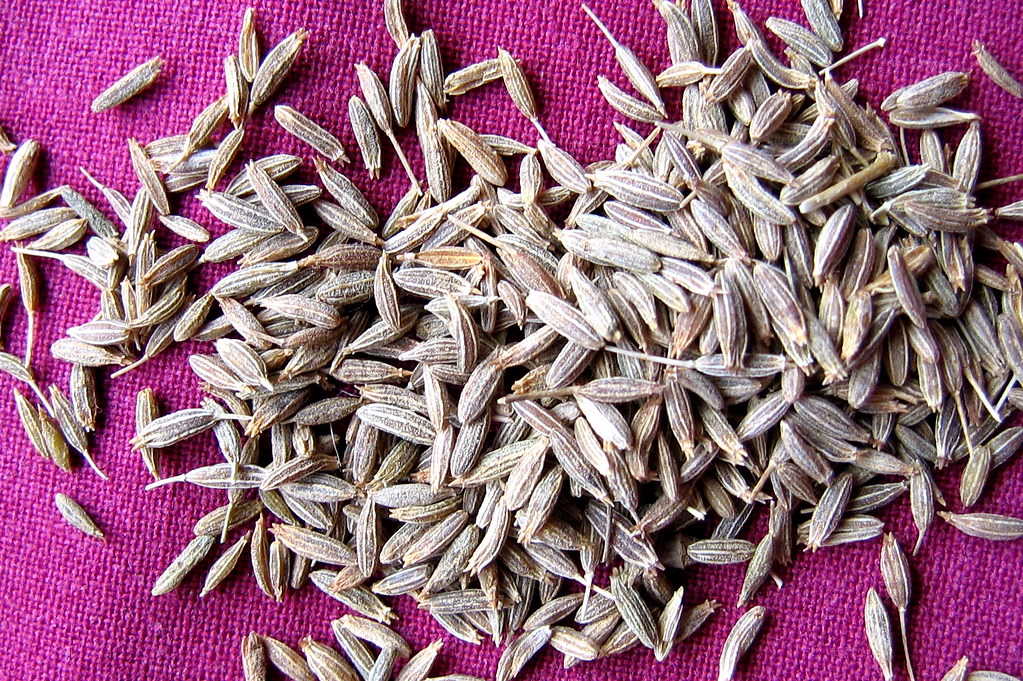 Cumin cumin. Nicholas Noyes Flickr
