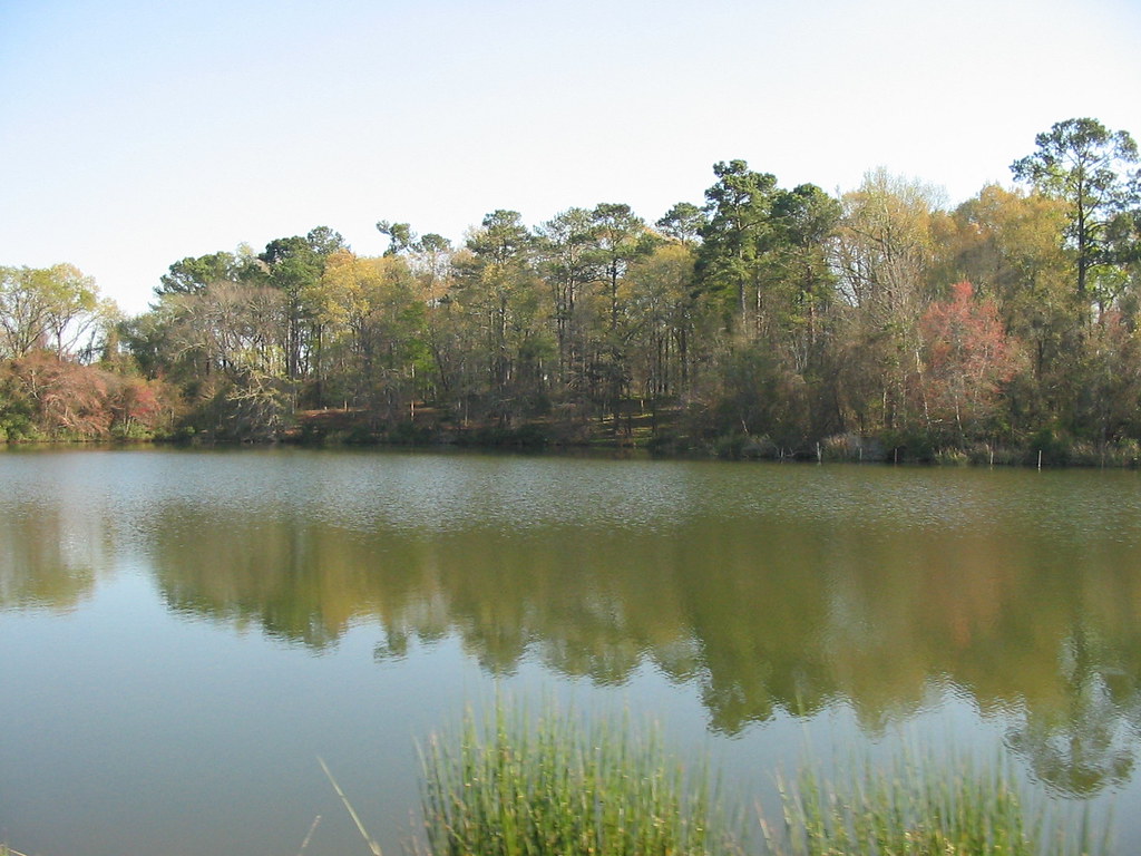 Cordele Lake Blackshear Cordele, samchamse Flickr