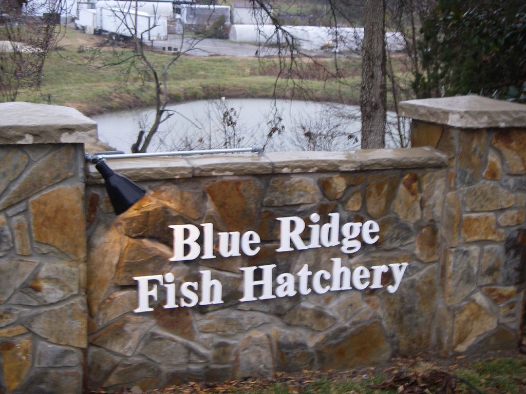Blue Ridge Fish Hatchery Lee LeFever Flickr