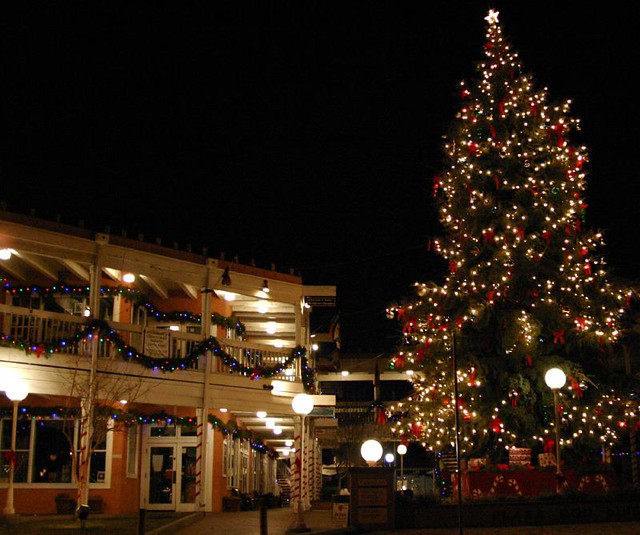 Old Town Christmas Tree Albuquerque, New Mexico Flickr