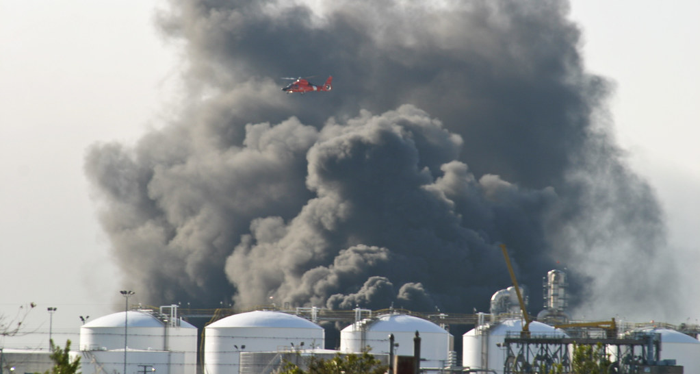 plant explosion14 tikiphotography09 Flickr