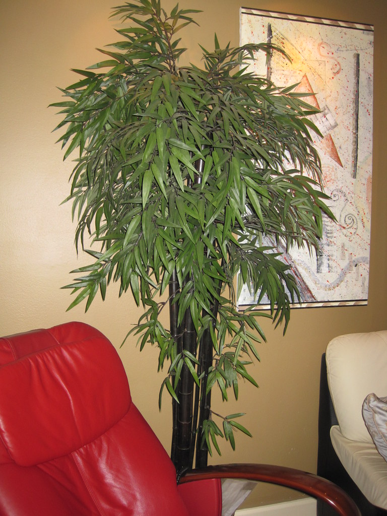 Sold! 7' Silk bamboo tree with real black trunk 120 Flickr