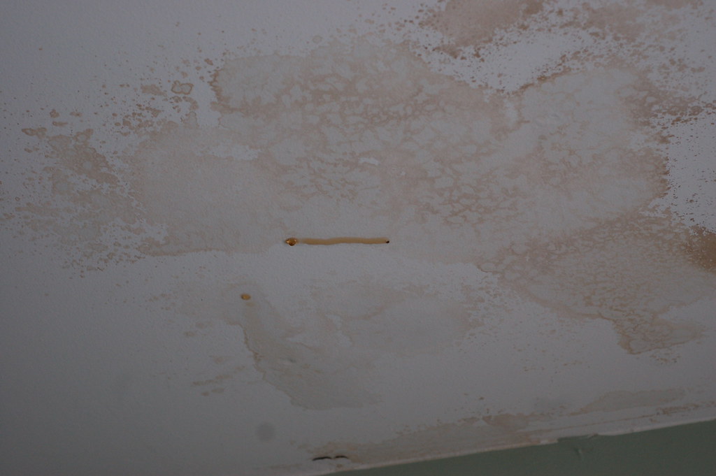 leaky ceiling Water dripping through the ceiling today . .… Flickr