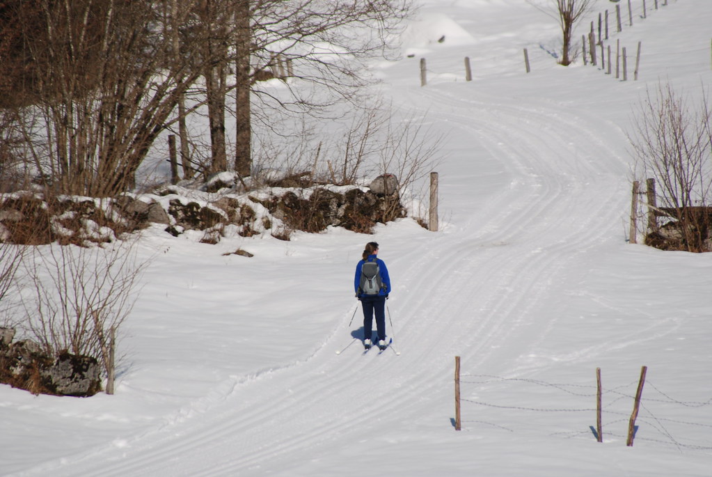 Xcountry skiing near Au Skiing the xcountry tracks near … Flickr