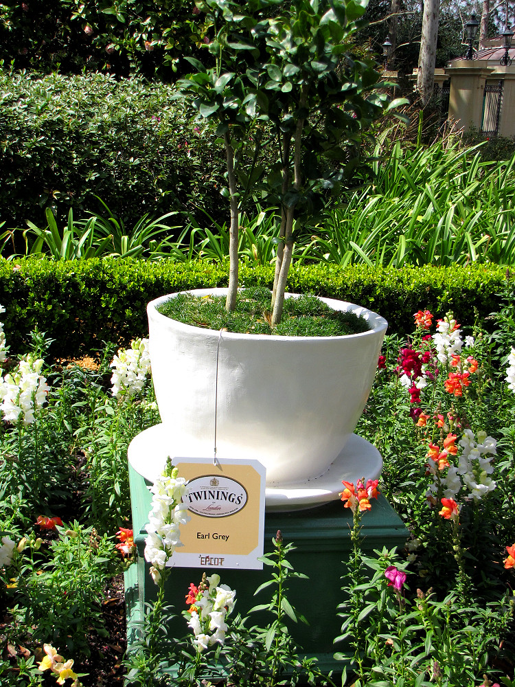 Flower and Garden Festival English Tea Garden disneylori Flickr