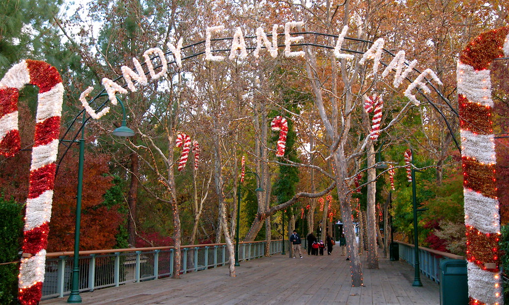 Candy Cane Lane Park photographers were waiting in the mid… Flickr