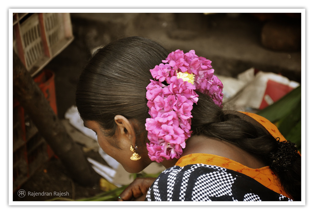  December Poo This Flower is called "December Flower" i… Flickr