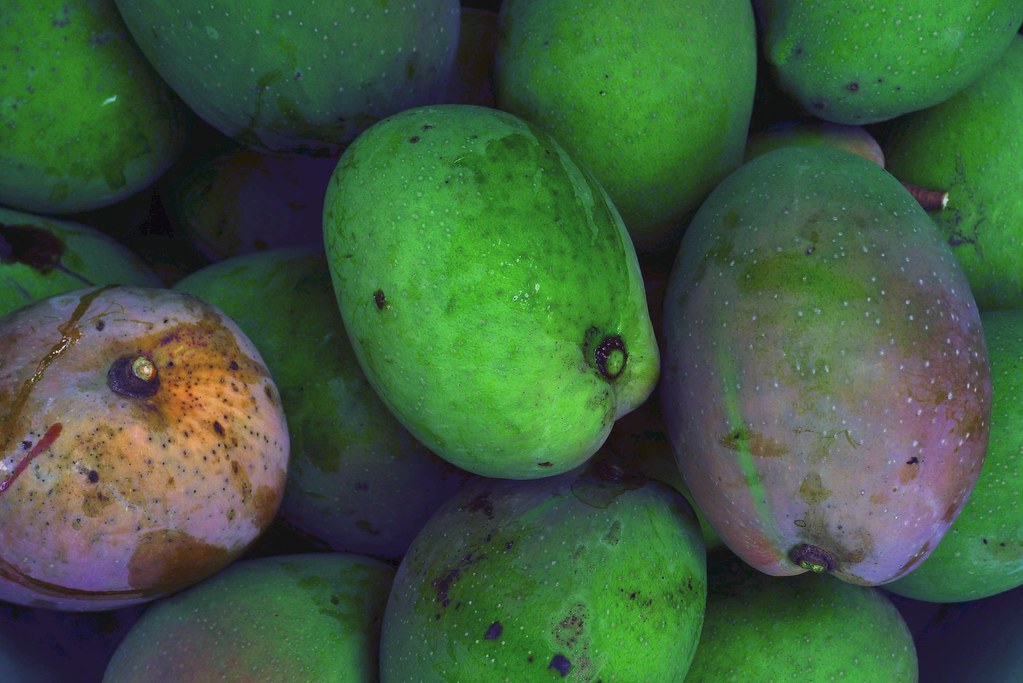 Mangoes Smell of mangoes in my hair, on my hands, through … Flickr