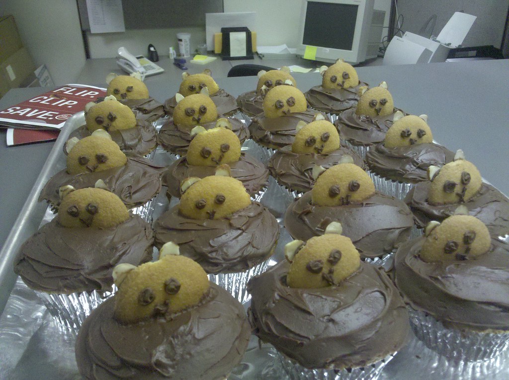 Groundhogs day For groundhog's day i made the office festi… Flickr