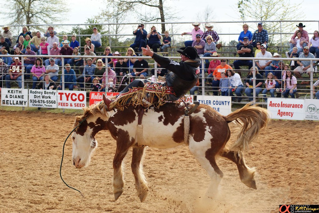 DSC04909 Pro Rodeo Star Ford Adkins at Woodville Rodeo. Ta… Flickr