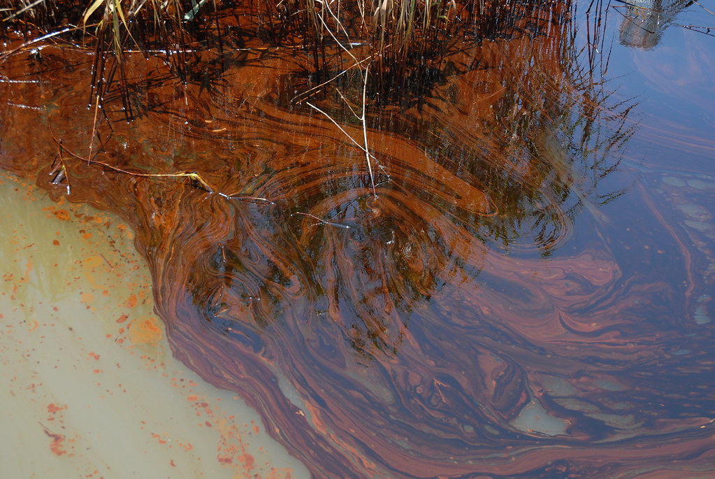 Oil Impacts PAL, May 19, 2010 Thick oil pools in the water… Flickr