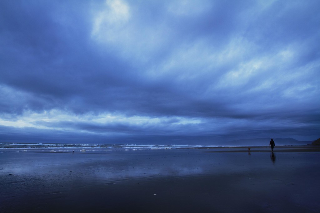 Fort Funston Fort Funston, 2010 Josh Trenter Flickr